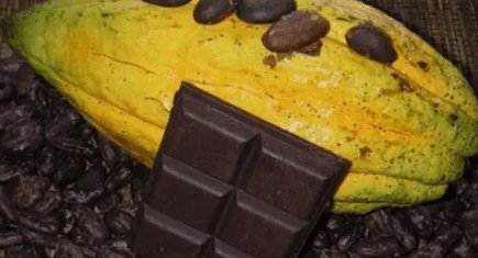Image montrant du chocolat et des fèves de cacao montrant ainsi le passage du cacao au chocolat